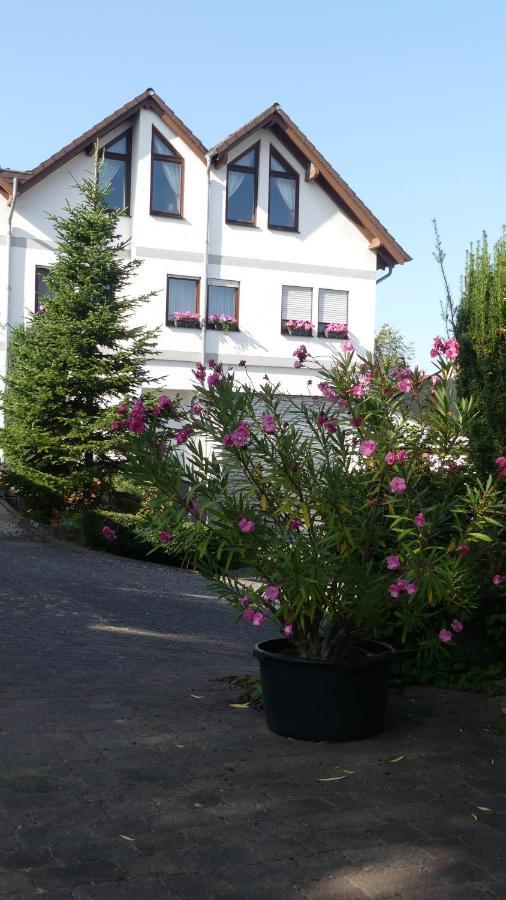 Hotel Janssen Bodenheim Esterno foto